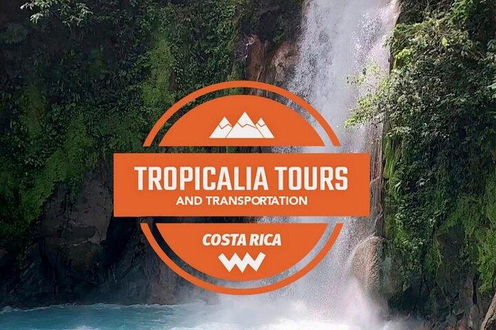 Rain forest Adventure to Rio Celeste Waterfall & Sloth Sanctuary