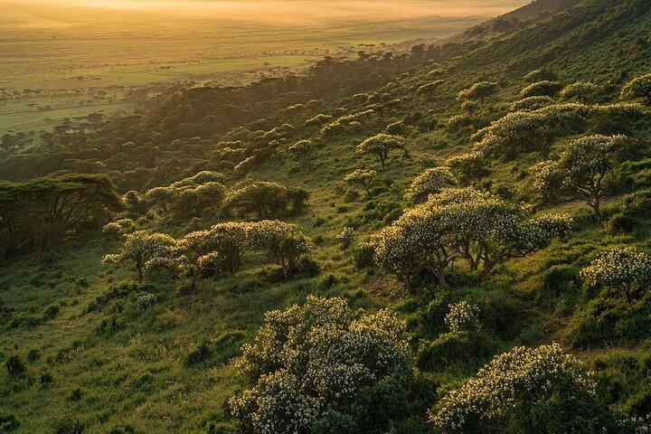 4 Days Serengeti National Park and Ngorongoro Crater