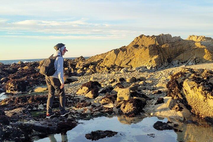 Monterey's 17 Mile Drive Guided Electric Bike Tour, 3 hr