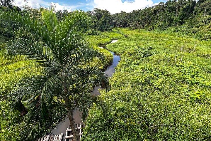 4Day Manu National Park Jungle Adventure from Cusco