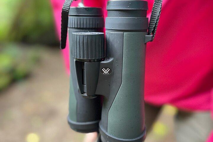 Monteverde Full Day Birding Expedition with FREE BINOCULARS