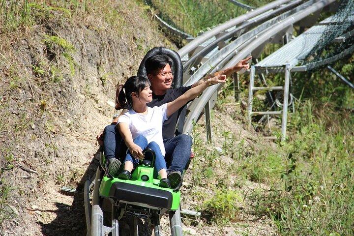 Datanla New Alpine Coaster Tour Experience Ticket