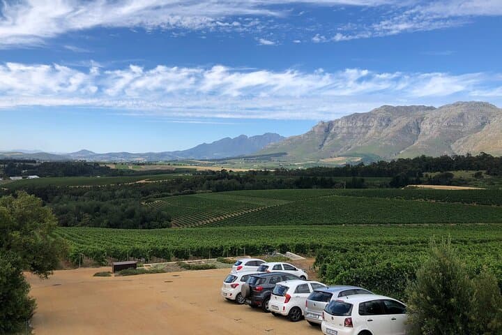 Full-Day VIP Stellenbosch Wine Tour Waterford, Delaire Graff