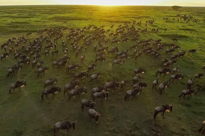 5 Days Mid Range Group Safari and Accommodations