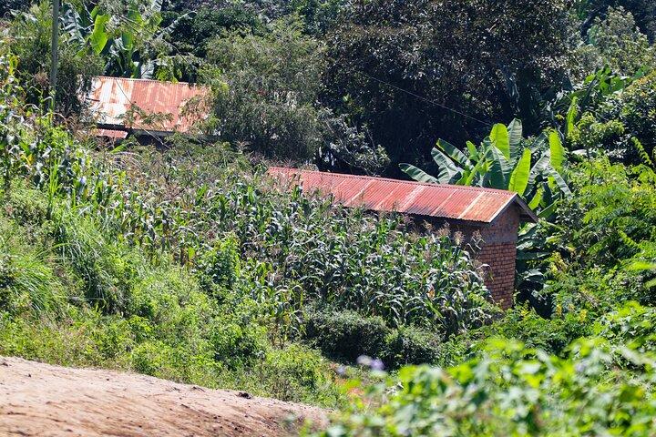 1 Day hike in rural Arusha