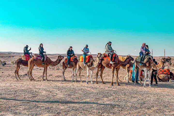 Marrakech: Agafay Desert Quad bike, Camles & Dinner Show