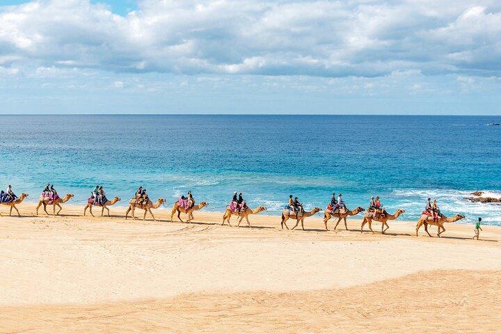 Cabo UTV Tour Free Camel Sky Bike