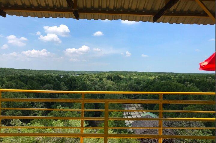 Private Tour Can Gio Mangrove Biosphere