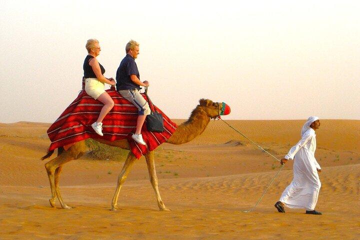 Abu Dhabi Private Morning Desert Safari - Family & Kids Friendly