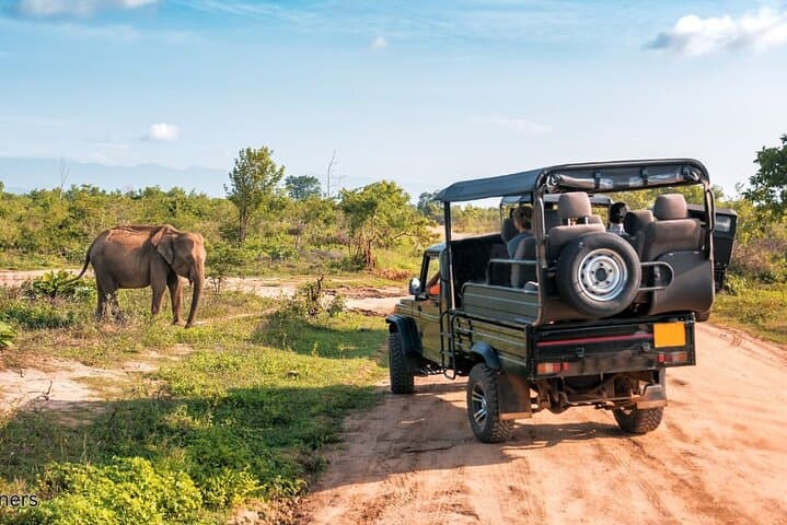 Aquila Game Reserve Safari Day Tour from Cape Town