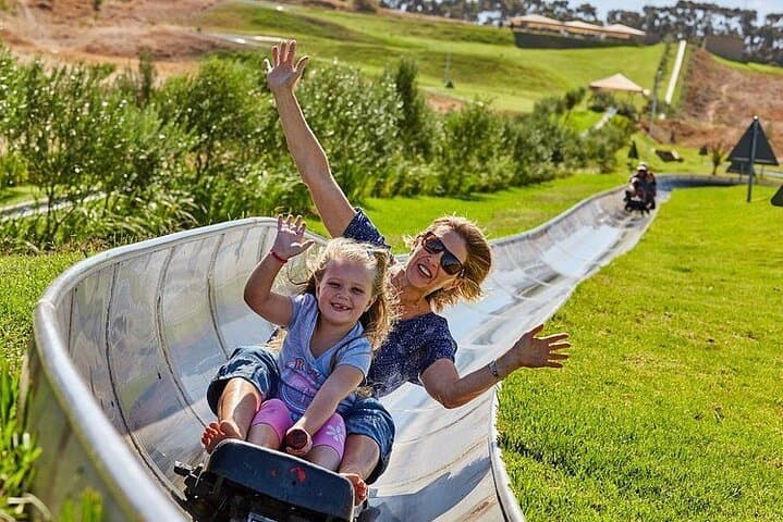 Cool Runnings Toboggan Adventure in Cape Town (Hotel pickup incl)