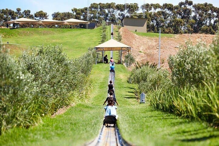 Cool Runnings Toboggan Adventure in Cape Town (Hotel pickup incl)