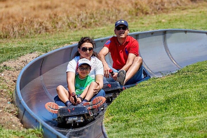 Cool Runnings Toboggan Adventure in Cape Town (Hotel pickup incl)