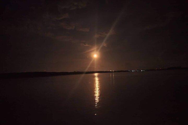 Puerto Princesa Firefly Watching Bay Cruise with Dinner