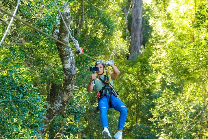 Tsitsikamma Canopy Tour