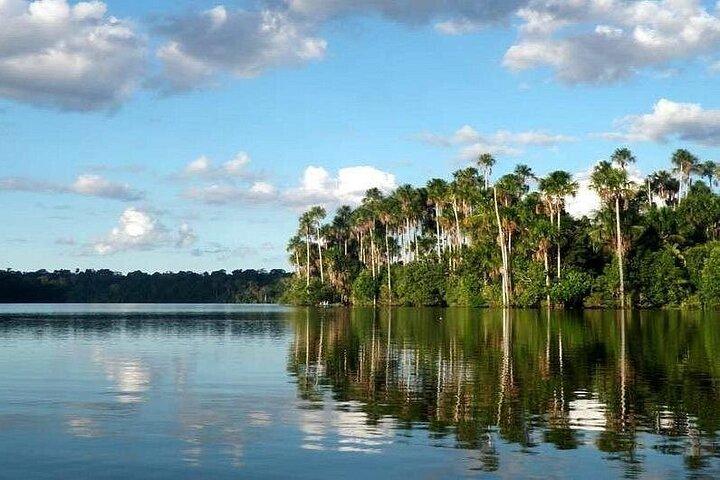 Tambopata Jungle Adventure 4 Days 3 Night