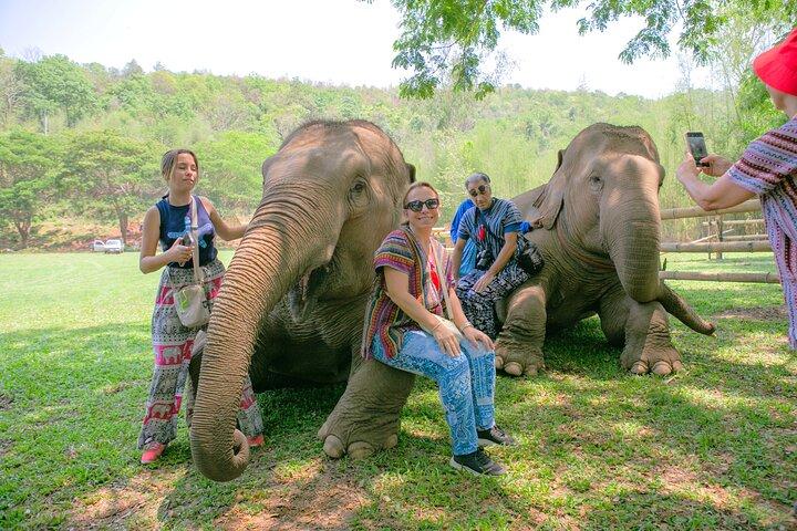 Chiang Mai Elephant Sanctuary and Sticky Waterfall Day Tour