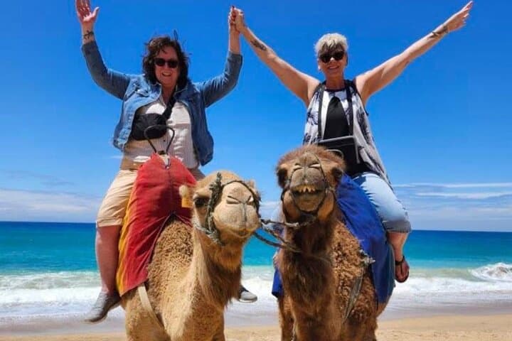 Luxury Private Tour with Pick Up from Cruise Ship All Inclusive