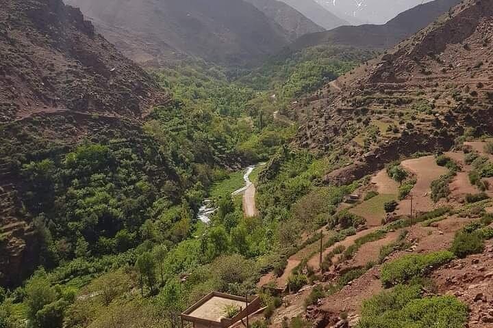 From Marrakech to Atlas Mountains & Berber Villages/guided walk