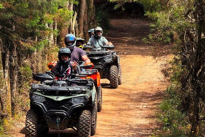 ATV Adventure: Mountains and Forest Tour