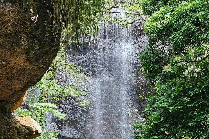 Transportation To St. Lucia Zipline Adventure
