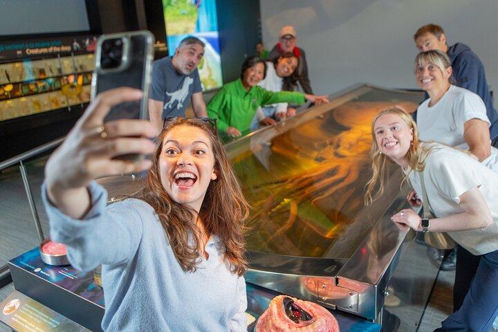 Museum of NZ Te Papa Tongarewa: International Visitor Entry