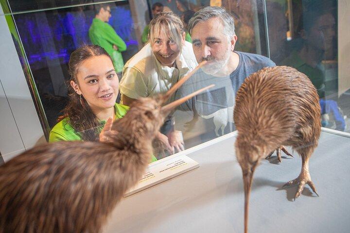Museum of NZ Te Papa Tongarewa: International Visitor Entry