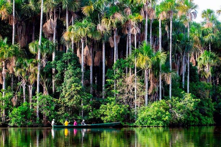 3 Days Tambopata National Reserve Wildlife Adventure