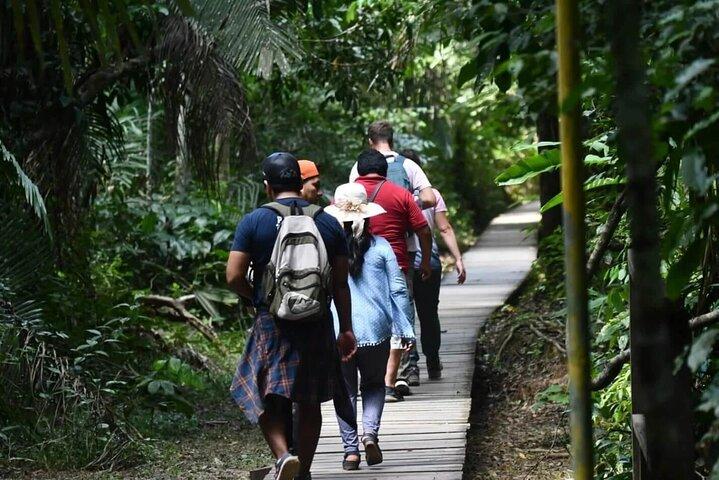 From Puerto Maldonado: 3 Days Amazon Eco Adventure