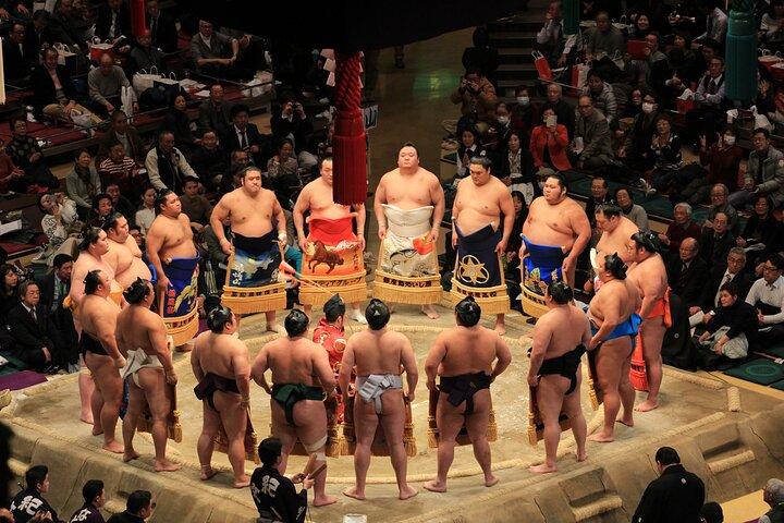 Grand Sumo Tournament w/ English Guide , Nagoya, Tokyo, Fukuoka