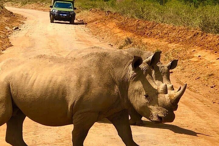 Early Morning Safari at Nairobi National Park