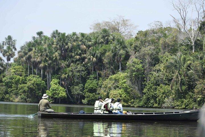 4Day Amazon Rainforest Tour in Tambopata National Reserve