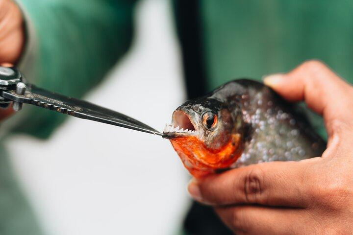 Amazon Piranha Fishing - Real Jungle Experience