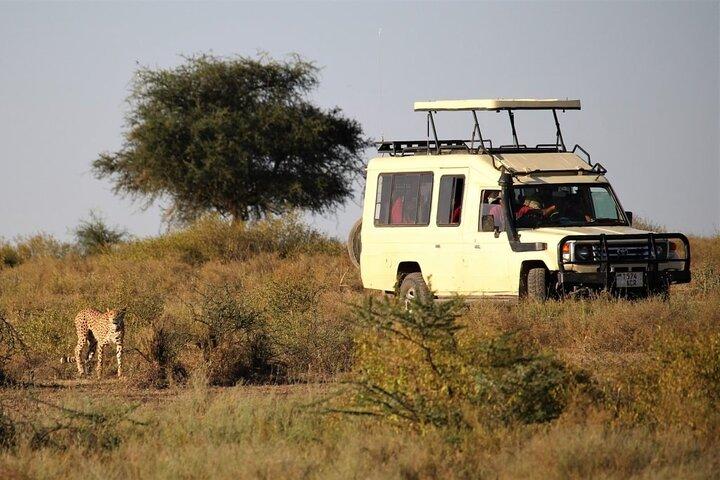 2 Days Tarangire and Ngorongoro Budget Safari in Tanzania