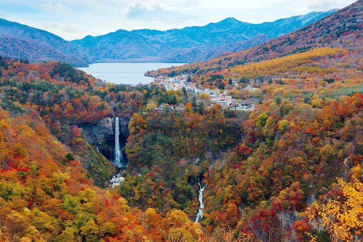 Private Nikko Day Trip from Tokyo Waterfalls, Lakes and Mountains