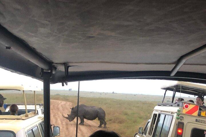 Nairobi National Park Game Drive & Cultural Performance Show