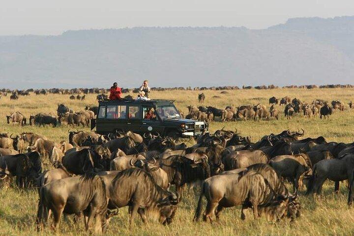 10 Day East Africa Safari Expedition