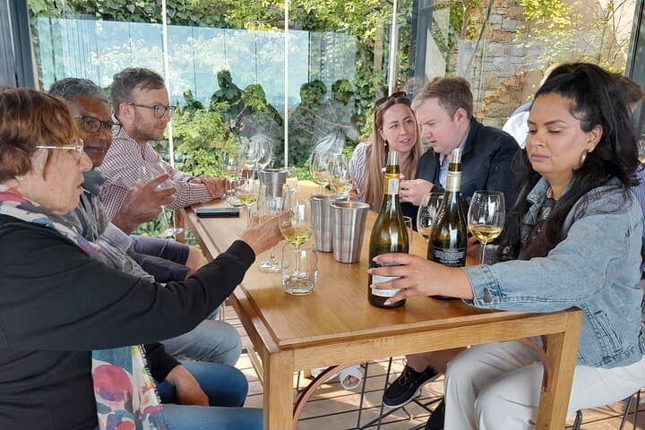 Giraffe house and Cheetahs encounter Tour with Wine tasting