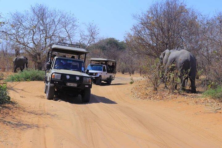 Full Day Chobe Trip