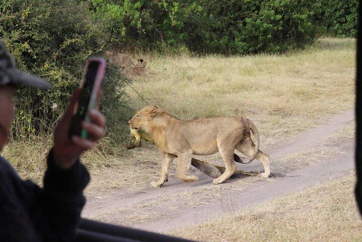 Full Day Chobe Trip