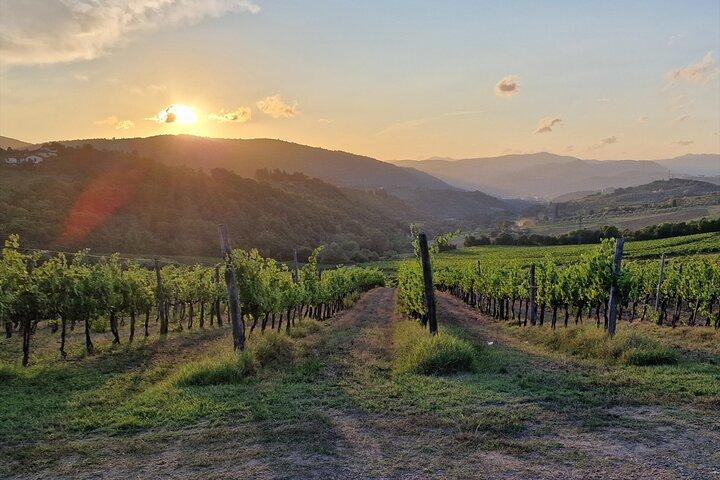 Private Wine Tour in Tuscany Florence Limo Service English driver