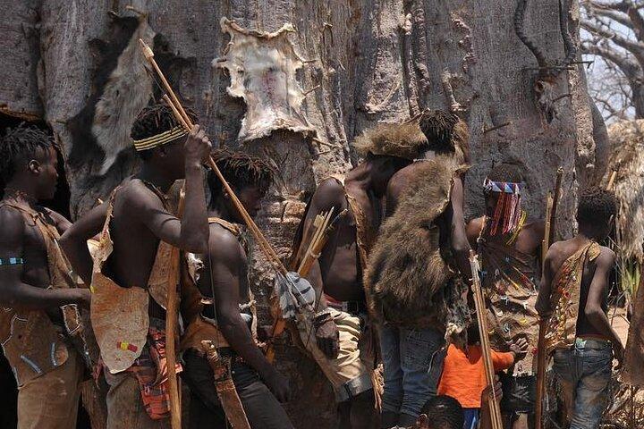 Authentic Maasai and Hadzabe Cultural Experience