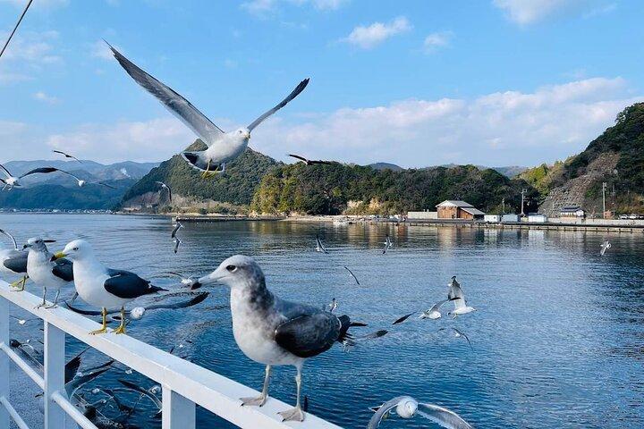 Private Tour to Amanohashidate and Ine Bay the Venice of Japan