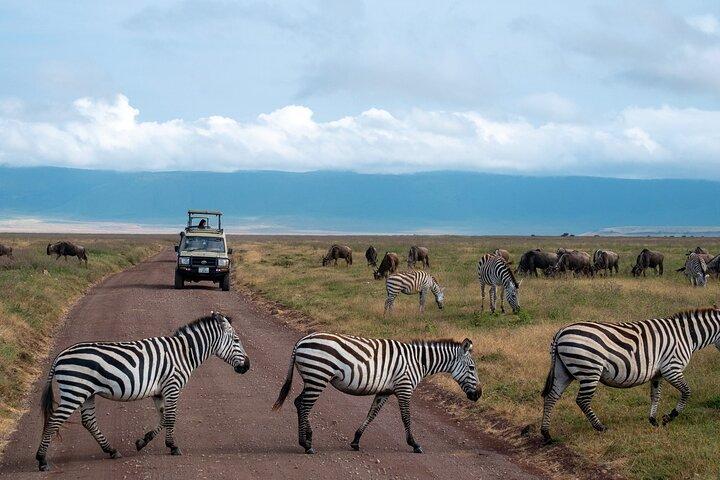 5 Days Luxury Safari Through Tarangire Serengeti and Ngorongoro