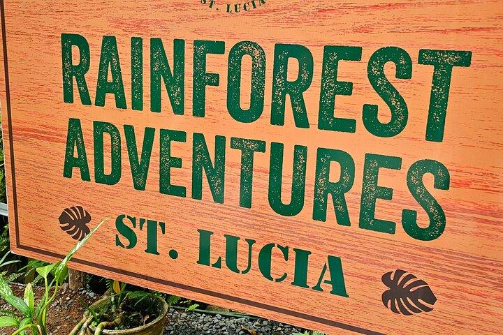 Transportation To St. Lucia Zipline Adventure
