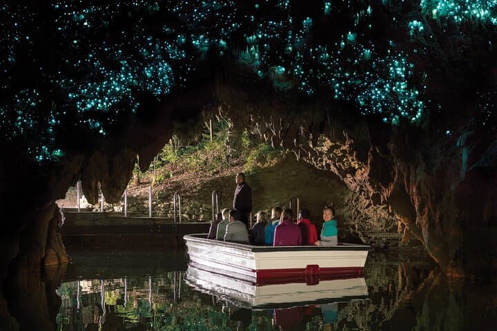 Auckland to Rotorua, Hobbiton and Waitomo 1 Way Small Group Tour