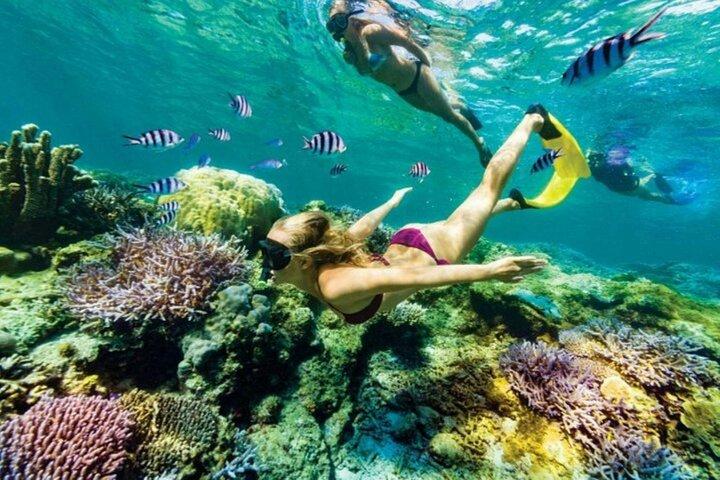 Bali Snorkeling Blue Lagoon with lunch &Optional waterfall Visit