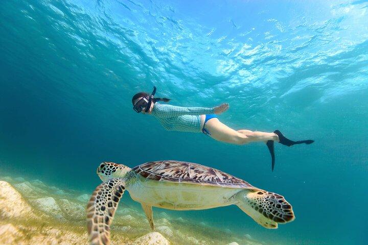 (ALL- IN) Bali Snorkeling Blue Lagoon with Waterfall Visit
