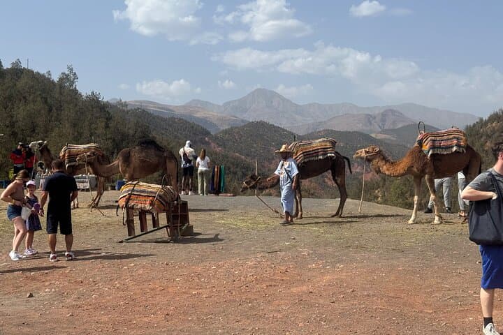 Marrakech: Ourika Valley & Atlas Mountains & Waterfalls + Lunch