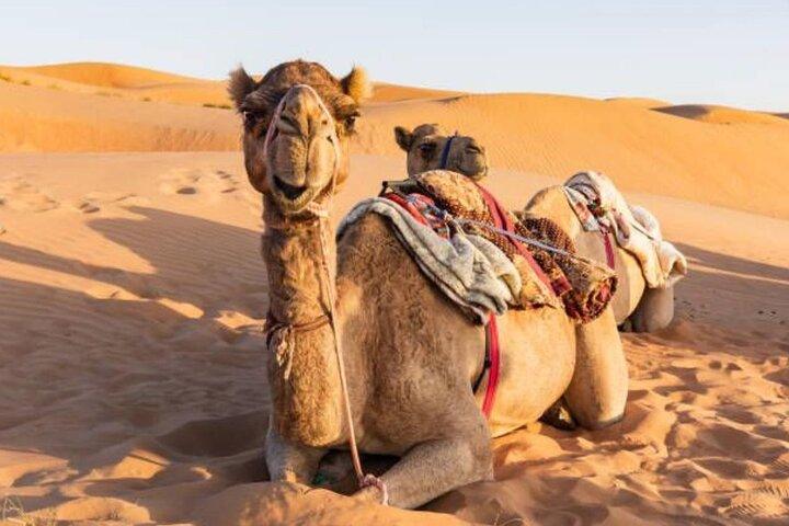 Desert Safari Dubai with Live Shows, Dune Bashing & BBQ Dinner